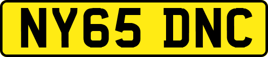 NY65DNC