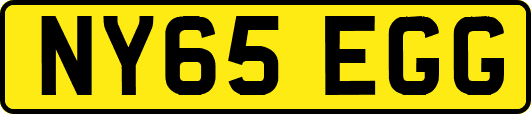 NY65EGG