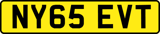 NY65EVT