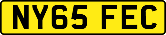 NY65FEC