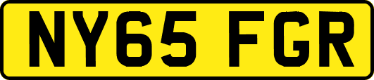 NY65FGR
