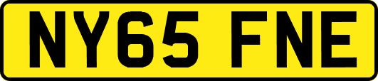 NY65FNE