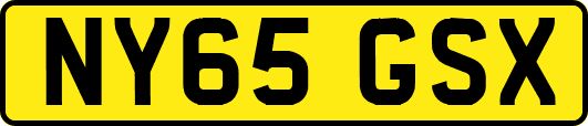 NY65GSX