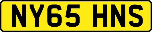 NY65HNS