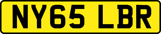 NY65LBR