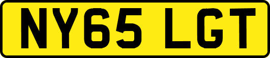 NY65LGT