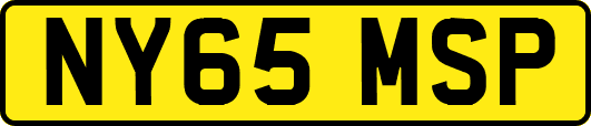 NY65MSP