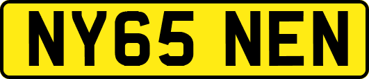 NY65NEN