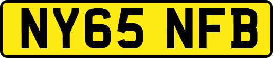 NY65NFB