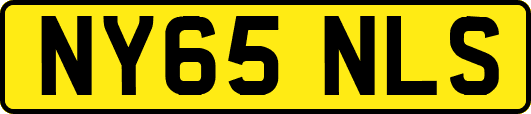 NY65NLS
