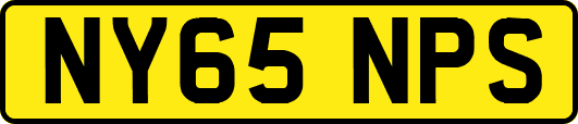 NY65NPS