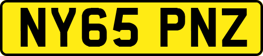 NY65PNZ