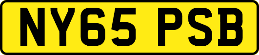 NY65PSB