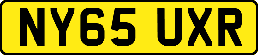 NY65UXR