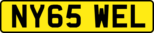 NY65WEL