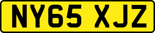 NY65XJZ