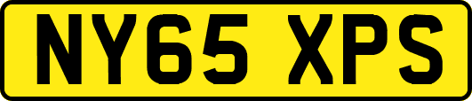 NY65XPS