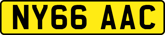 NY66AAC