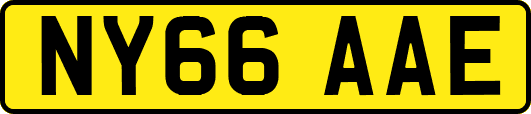 NY66AAE