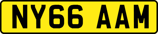 NY66AAM