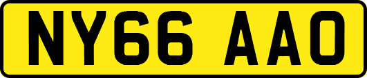 NY66AAO