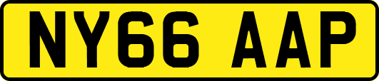 NY66AAP