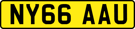 NY66AAU