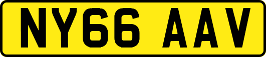 NY66AAV