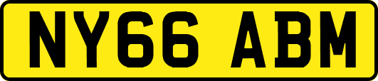 NY66ABM