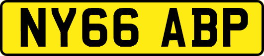 NY66ABP