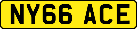 NY66ACE