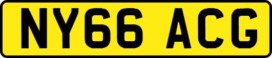 NY66ACG
