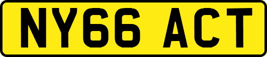 NY66ACT