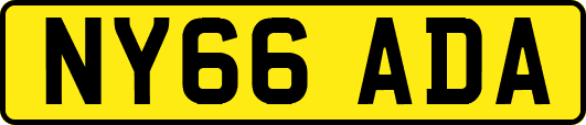NY66ADA