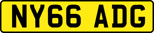 NY66ADG