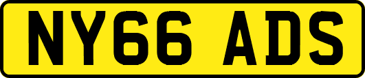 NY66ADS