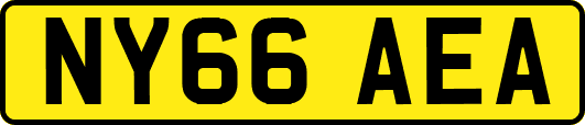 NY66AEA