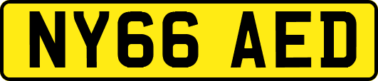 NY66AED