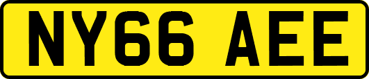 NY66AEE