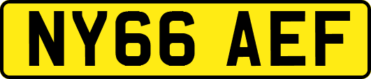 NY66AEF