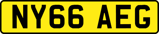 NY66AEG