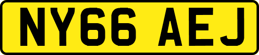 NY66AEJ