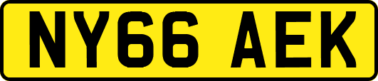 NY66AEK