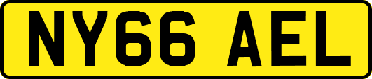 NY66AEL