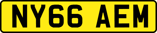NY66AEM