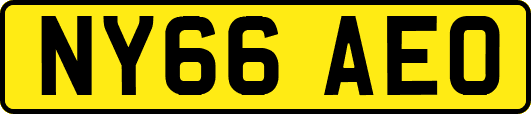 NY66AEO