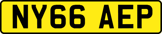 NY66AEP