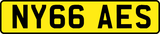 NY66AES