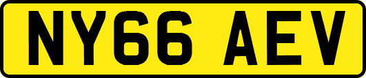 NY66AEV