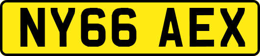 NY66AEX
